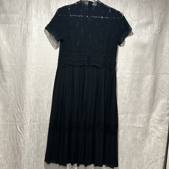 Zara Basics Lace & Pleated Dress - Picture 6 of 14